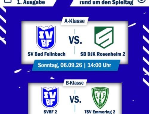 Fußball Stadionbladl