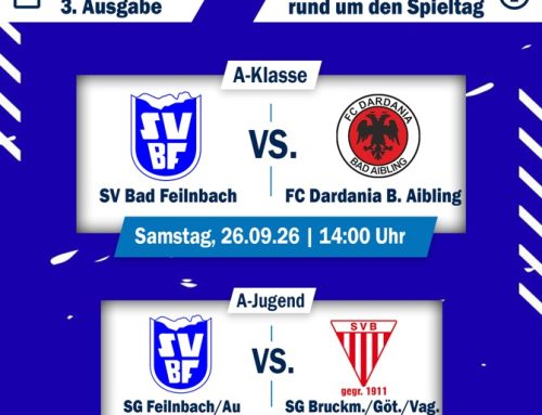 Fußball Stadionbladl