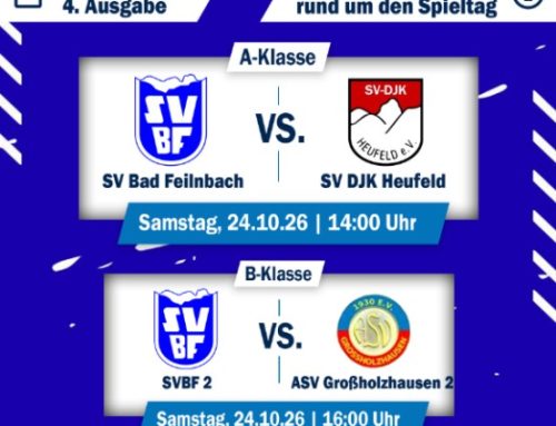 Fußball Stadionbladl